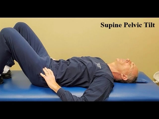 10 Core Exercises That Stabilize and Protect the Spine [Expert-Backed]