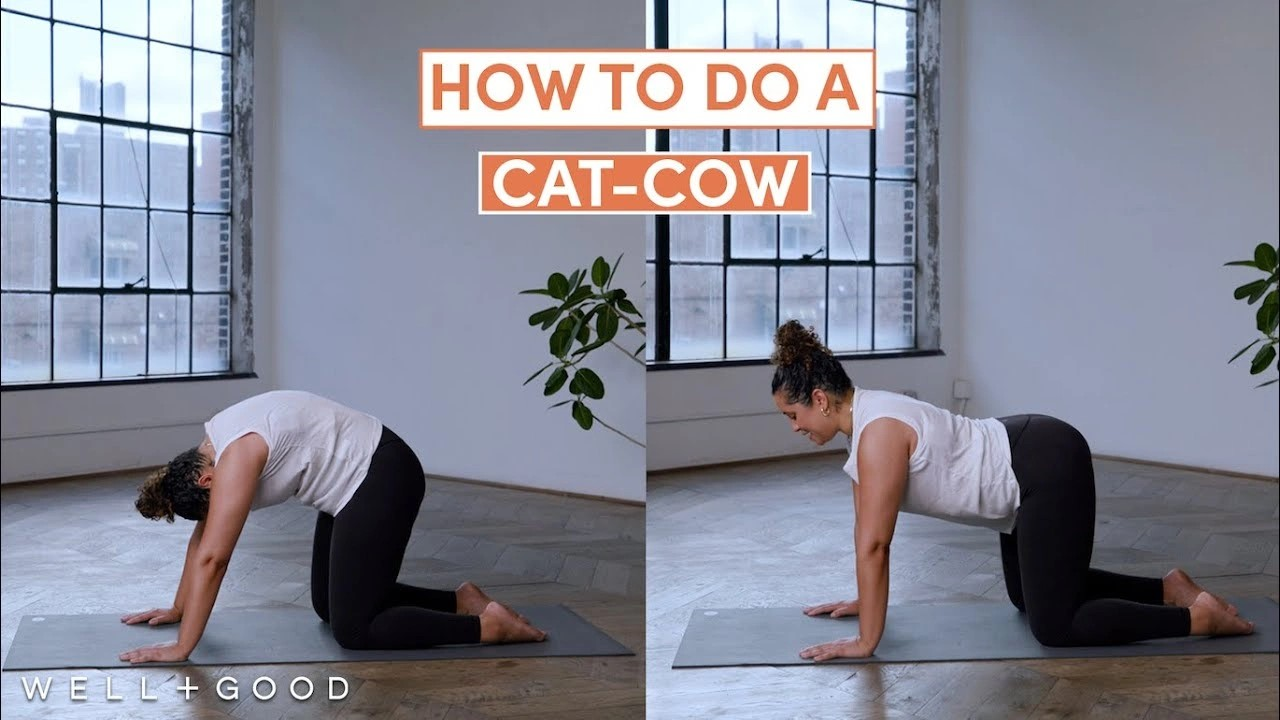10 Core Exercises That Stabilize and Protect the Spine [Expert-Backed]