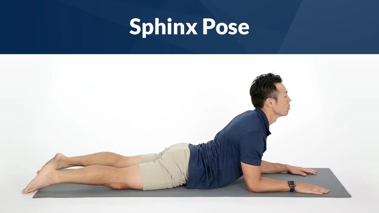 Sphinx Stretch