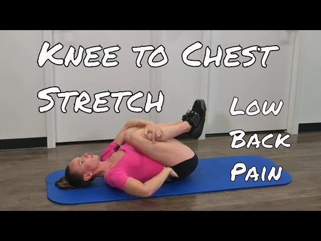 7 Stretching Exercises for Lower Back Pain That Actually Work in 2026